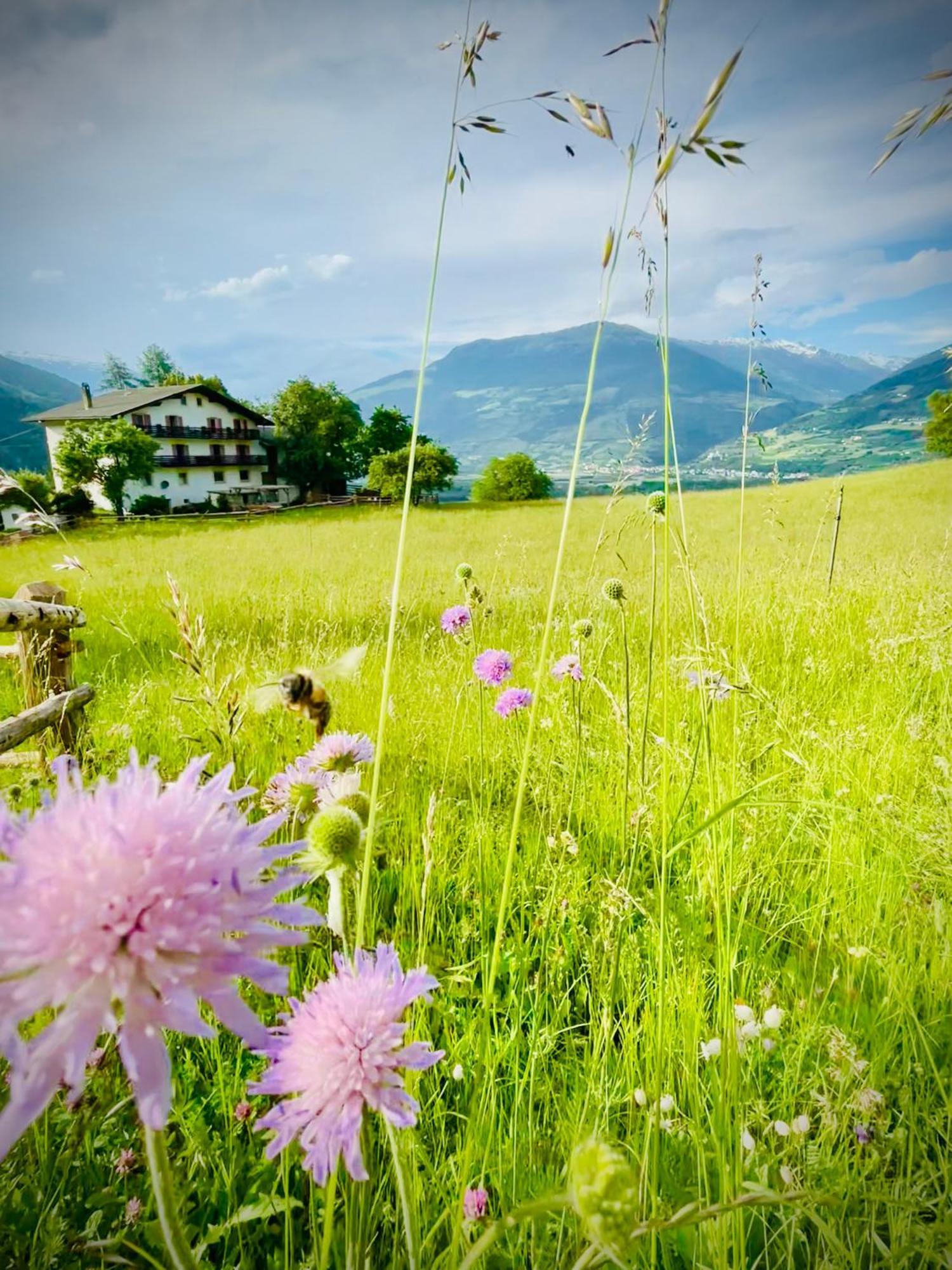 Plasur - Apartement Bella Vista Montechiaro Lichtenberg Esterno foto