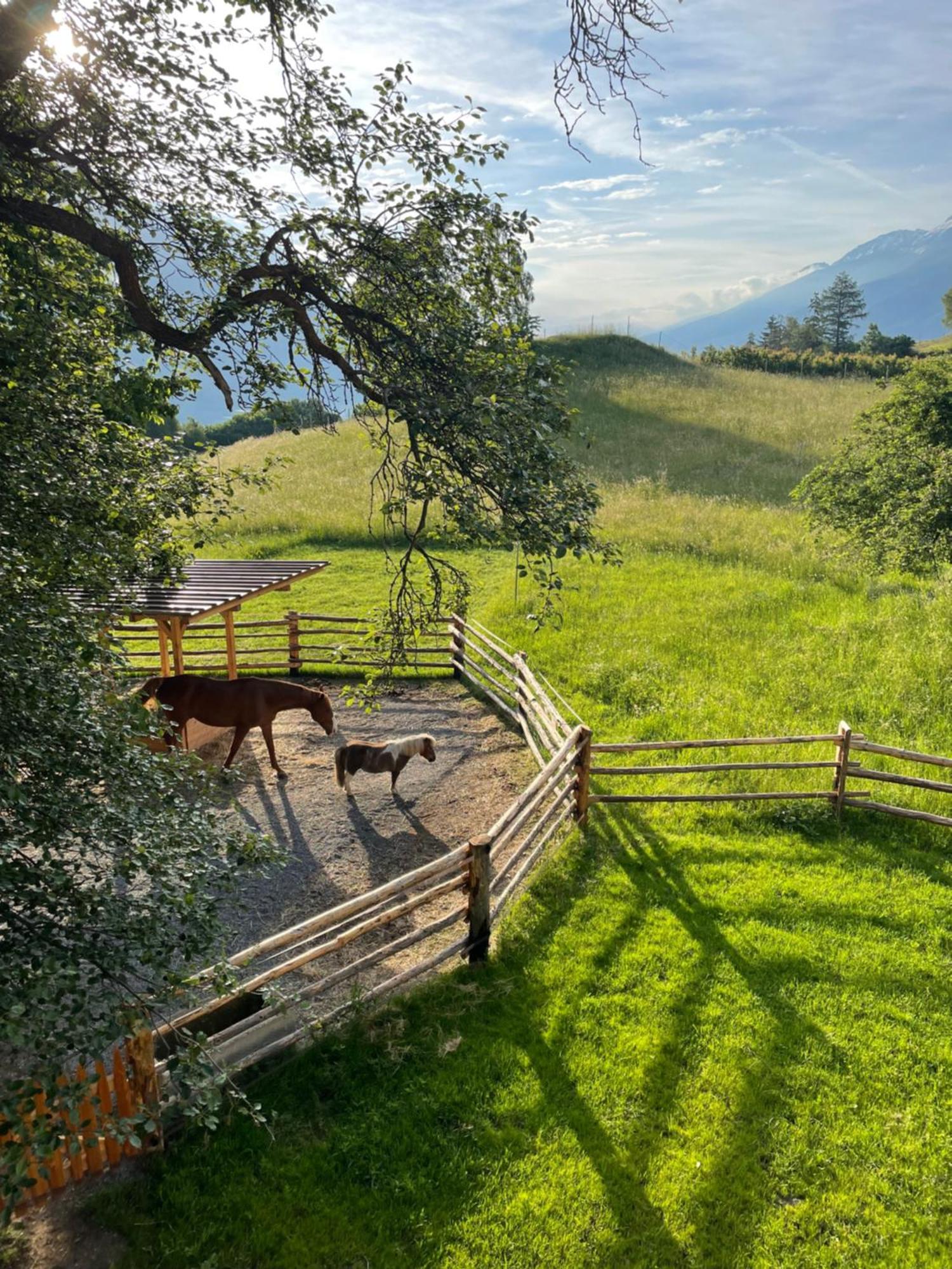 Plasur - Apartement Bella Vista Montechiaro Lichtenberg Esterno foto